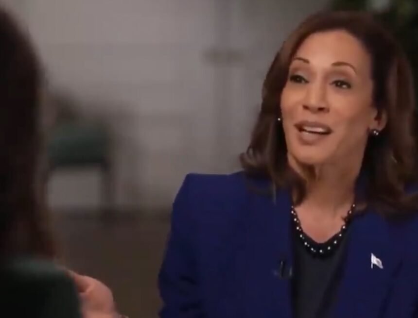 img_1384.jpeg Kamala Harris Bombs in NBC Interview When Asked Why Voters Trust Trump and Not Her on the Economy (VIDEO) | The Gateway Pundit