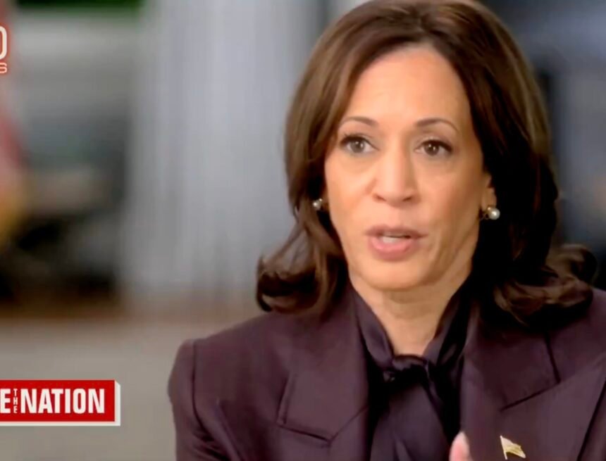 Venture Capitalist David Sacks Calls Out Mainstream Media — Says Major Networks Should Lose Free Public Spectrum Licenses Since They Failed the Requirement to Serve Public Interest | The Gateway Pundit