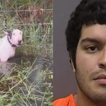 trooper-1-1200x630.jpg Florida Man Arrested for Animal Cruelty After Mercilessly Tying His Dog to a Fence Post in Rising Floodwaters Ahead of Hurricane Milton | The Gateway Pundit