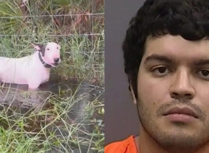 trooper-1-1200x630.jpg Florida Man Arrested for Animal Cruelty After Mercilessly Tying His Dog to a Fence Post in Rising Floodwaters Ahead of Hurricane Milton | The Gateway Pundit
