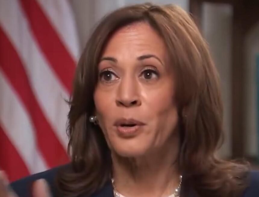 0-120.jpg Democrats Worry Continued Fundraising by Kamala Harris is Hurting Them With Voters | The Gateway Pundit