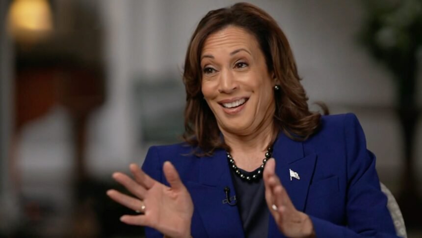 Autopsy of a Failed Presidential Campaign: Here’s All the Ways Kamala Dropped the Ball | The Gateway Pundit