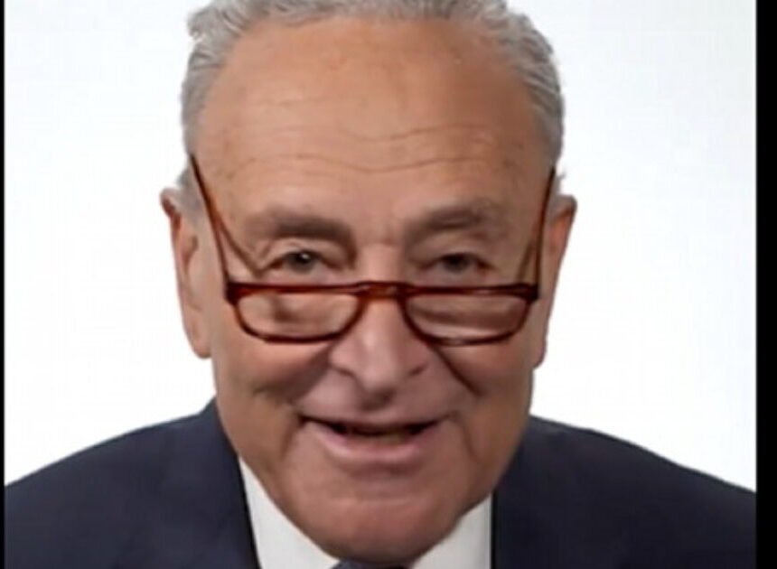chuck-schumer-video-1200x630.jpg Senate Democrats Mocked Over Cringeworthy Video Where They Suddenly Claim to be Fighting for Average Americans | The Gateway Pundit