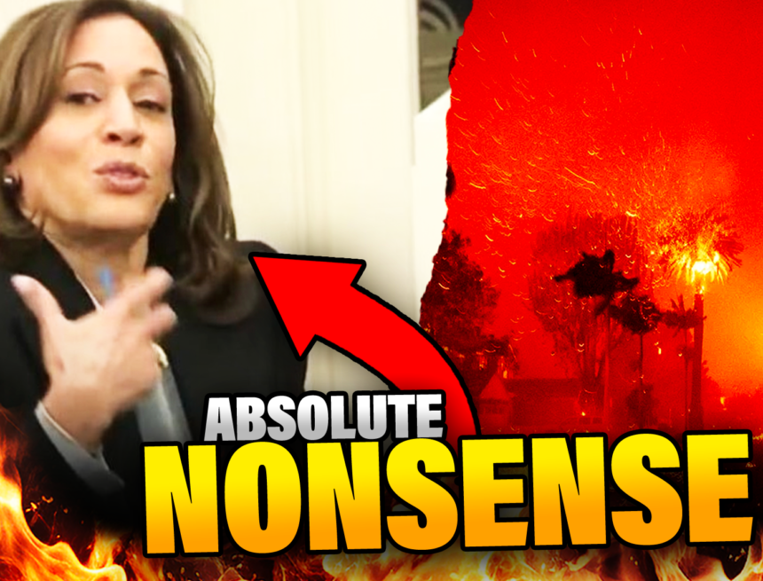 gp_11425.png She Said WHAT?! Kamala Delivers WORD SALAD to LA Fire Victims | Elijah Schaffer’s Top 5 (VIDEO) | The Gateway Pundit